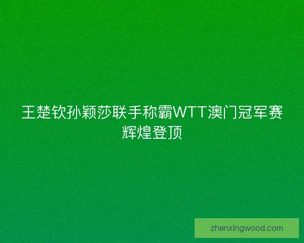 王楚钦孙颖莎联手称霸WTT澳门冠军赛辉煌登顶