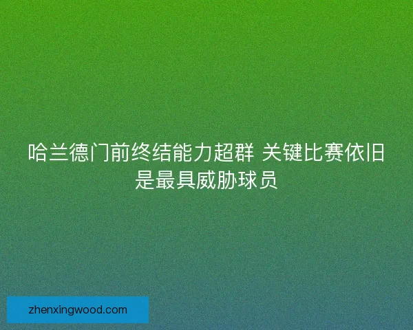 哈兰德门前终结能力超群 关键比赛依旧是最具威胁球员
