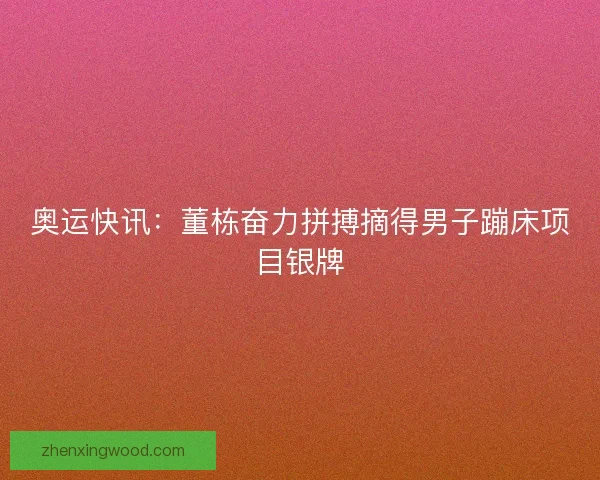 奥运快讯：董栋奋力拼搏摘得男子蹦床项目银牌