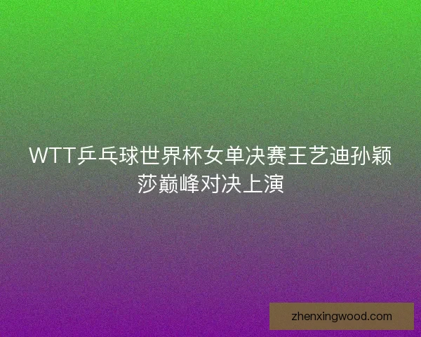 WTT乒乓球世界杯女单决赛王艺迪孙颖莎巅峰对决上演