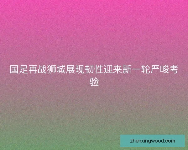 国足再战狮城展现韧性迎来新一轮严峻考验