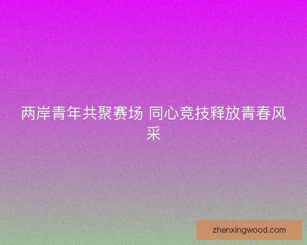 两岸青年共聚赛场 同心竞技释放青春风采